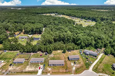 227 Mewborn Drive, Beulaville, NC 28518 - Photo 37