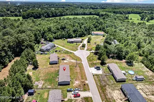 227 Mewborn Dr, Beulaville, NC 28518 - Photo 41