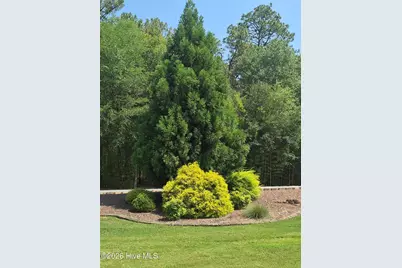 7 Bobolink Road, Jackson Springs, NC 27281 - Photo 21