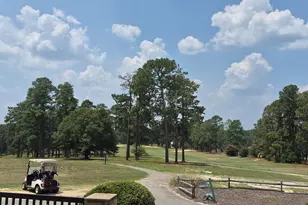7 Bobolink Rd, Jackson Springs, NC 27281 - Photo 101