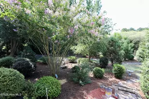 7 Bobolink Rd, Jackson Springs, NC 27281 - Photo 91