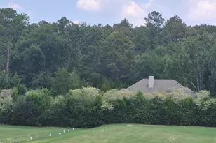 7 Bobolink Rd, Jackson Springs, NC 27281 - Photo 107