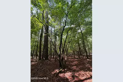 B15 L26 Blair Lane, McCormick, SC 29835 - Photo 5