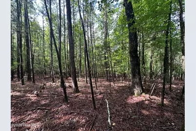 B15 L26 Blair Lane, McCormick, SC 29835 - Photo 7