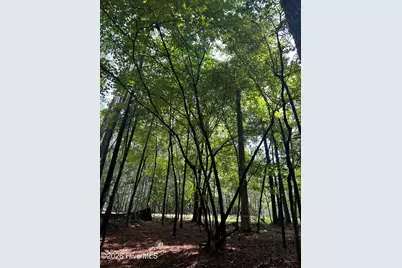 B15 L26 Blair Lane, McCormick, SC 29835 - Photo 11