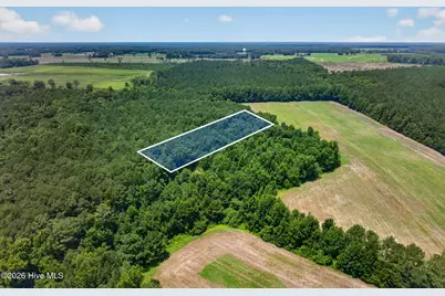 1 Acre Off Laura Hill Drive, Clarkton, NC 28433 - Photo 1