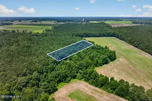 1 Acre Off Laura Hill Dr, Clarkton, NC 28433 - Photo 1