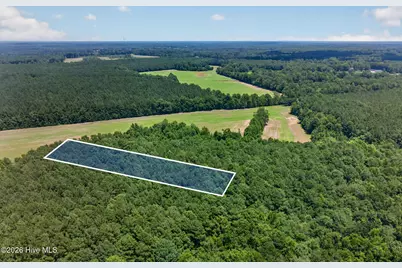 1 Acre Off Laura Hill Drive, Clarkton, NC 28433 - Photo 9