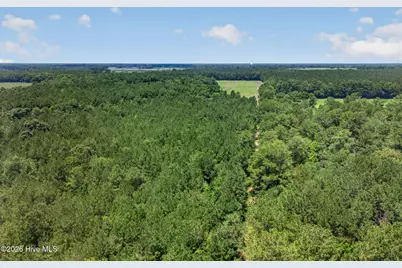 1 Acre Off Laura Hill Drive, Clarkton, NC 28433 - Photo 5