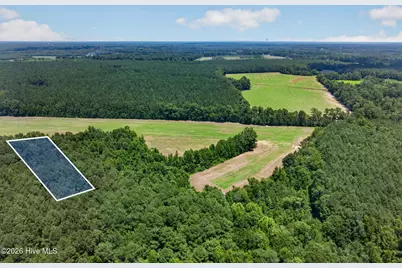 1 Acre Off Laura Hill Drive, Clarkton, NC 28433 - Photo 7