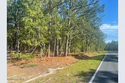 1035 Flowers Road, Jackson Springs, NC 27281 - Photo 3