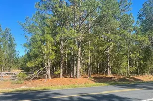 1035 Flowers Rd, Jackson Springs, NC 27281 - Photo 1