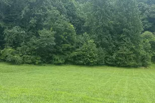Lot 22C Ash Branch Circle, Hayesville, NC 28904 - Photo 1