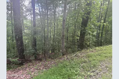 Lot 169 Wilderness Creek Way, Murphy, NC 28906 - Photo 5