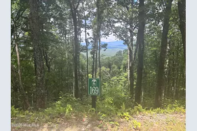 Lot 169 Wilderness Creek Way, Murphy, NC 28906 - Photo 7