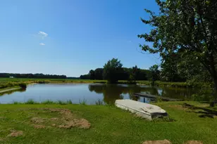 163 Bagley Swamp Rd, Hertford, NC 27944 - Photo 5