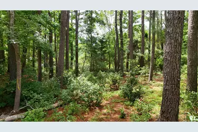0 Horizon Crest, Hampstead, NC 28443 - Photo 57