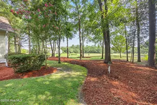 119 Cypress Point, Wallace, NC 28466 - Photo 53