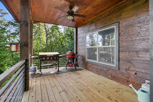 240 Pink Pig Lane, Cherry Log, GA 30522 - Photo 13