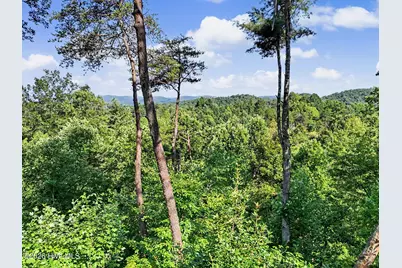 240 Pink Pig Lane, Cherry Log, GA 30522 - Photo 69