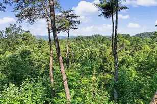 240 Pink Pig Lane, Cherry Log, GA 30522 - Photo 69