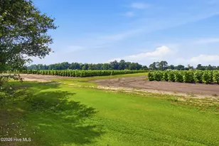 248 Hwy 58 Loop Rd, Maysville, NC 28555 - Photo 27
