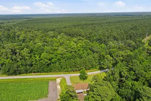 248 Hwy 58 Loop Rd, Maysville, NC 28555 - Photo 31