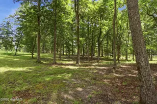 4725 Creeks Jct Rd, Blounts Creek, NC 27814 - Photo 63