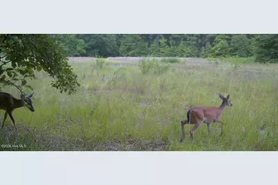 0000 Bethesda Church Road, Fairmont, NC 28340 - Photo 25