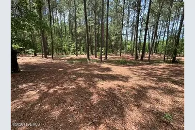 0000 Bethesda Church Road, Fairmont, NC 28340 - Photo 27