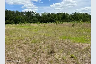 0000 Bethesda Church Road, Fairmont, NC 28340 - Photo 27