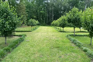 768 Bethesda Church Rd, Fairmont, NC 28340 - Photo 53