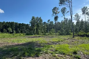1319 Bill Hooks Rd, Whiteville, NC 28472 - Photo 27
