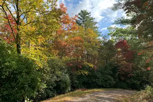 104 Antler Ln, Murphy, NC 28906 - Photo 57