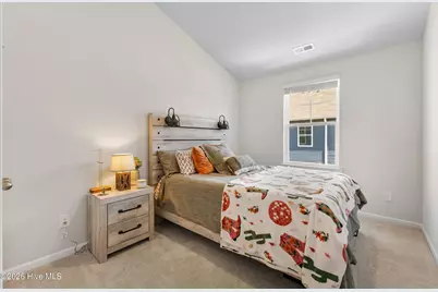 6709 White Shark Way, Wilmington, NC 28412 - Photo 19