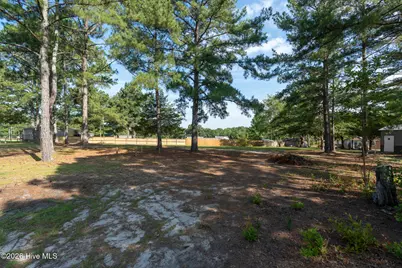 137 Nelson Road, Rockingham, NC 28379 - Photo 9