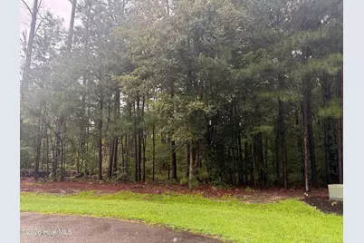 31 Bennetts Creek Drive Drive, Hertford, NC 27944 - Photo 3