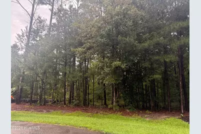 31 Bennetts Creek Drive Drive, Hertford, NC 27944 - Photo 1