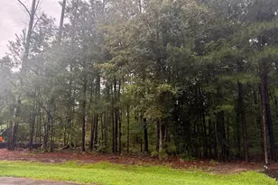 31 Bennetts Creek Dr Dr, Hertford, NC 27944 - Photo 1