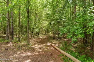 843 Marshall Church Rd, Thomson, GA 30824 - Photo 61