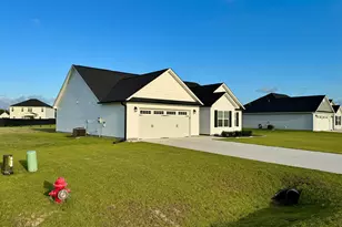 810 Calebs Crk Ct, Maysville, NC 28555 - Photo 3