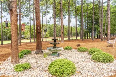 52 McMichael Drive, Pinehurst, NC 28374 - Photo 51