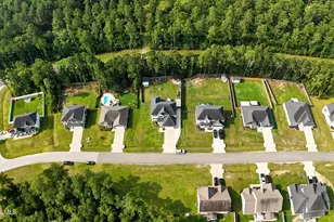 379 W Huckleberry Way, Rocky Point, NC 28457 - Photo 53