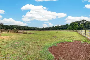 2361 Willard Rd, Wallace, NC 28466 - Photo 53