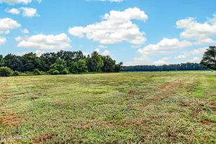 2361 Willard Rd, Wallace, NC 28466 - Photo 57