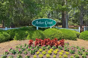 3826 Timber Stream Dr, Southport, NC 28461 - Photo 55