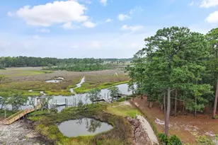 417 Lightwood Ln, Shallotte, NC 28470 - Photo 55