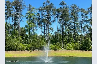 1542 W White Egret Lane NE #Lot 806, Bolivia, NC 28422 - Photo 27
