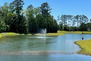 1546 W White Egret Ln NE, Bolivia, NC 28422 - Photo 23