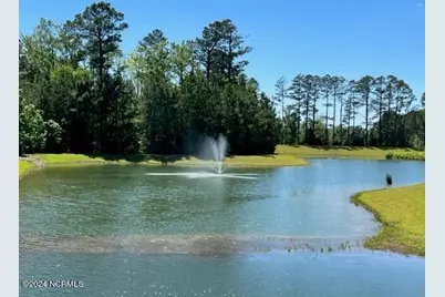 1538 W White Egret Lane NE #Lot 805, Bolivia, NC 28422 - Photo 23